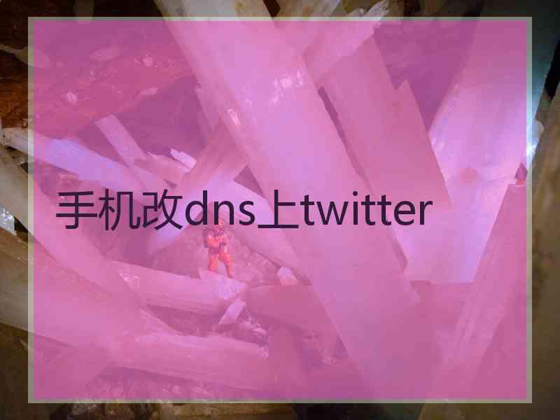 手机改dns上twitter