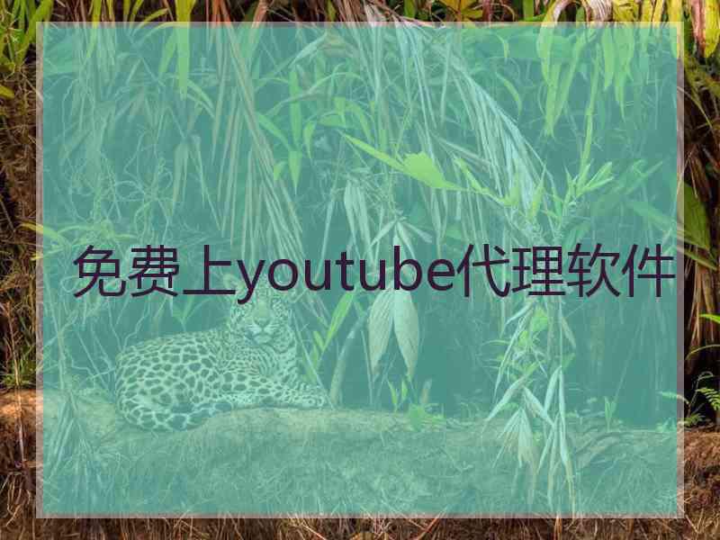 免费上youtube代理软件