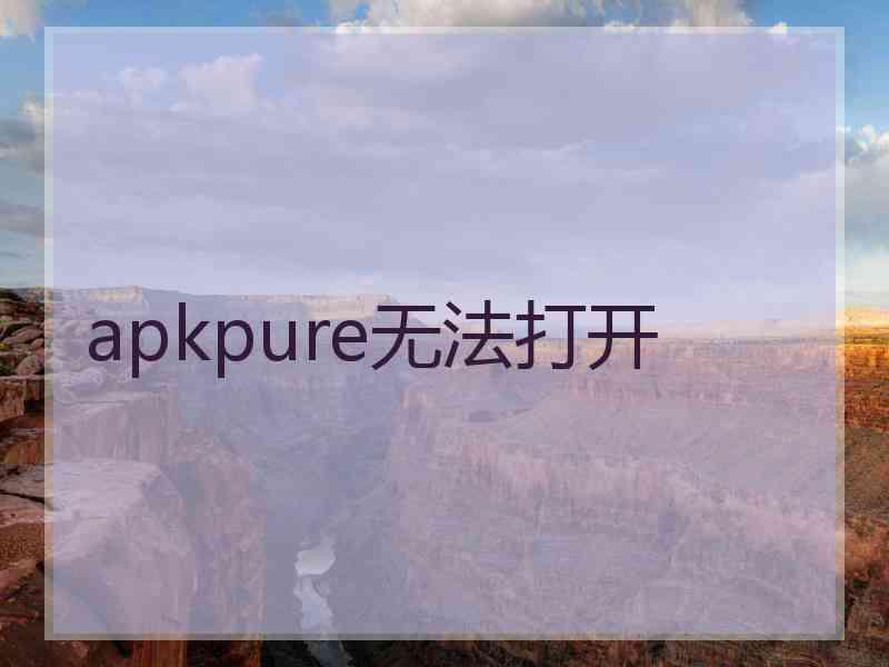 apkpure无法打开