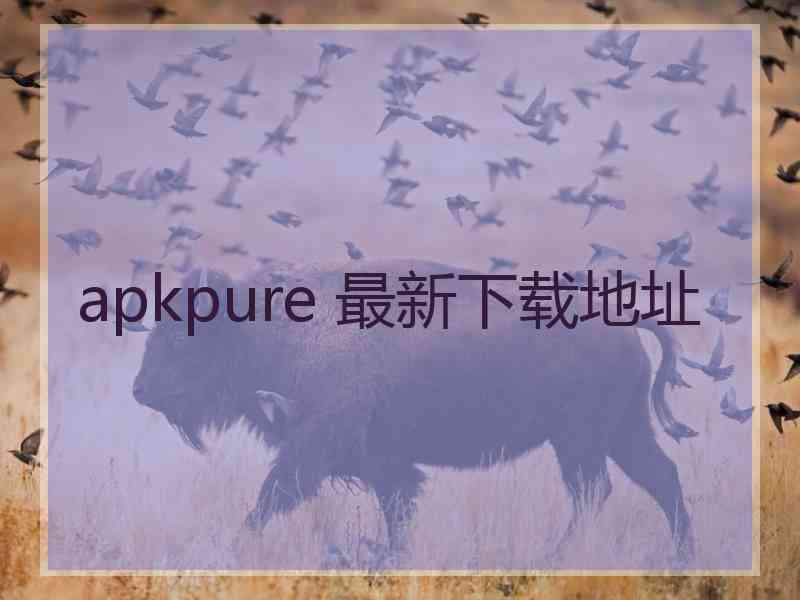 apkpure 最新下载地址