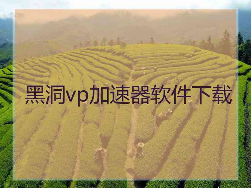 黑洞vp加速器软件下载