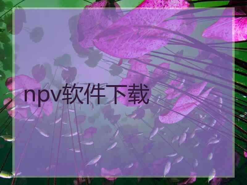 npv软件下载