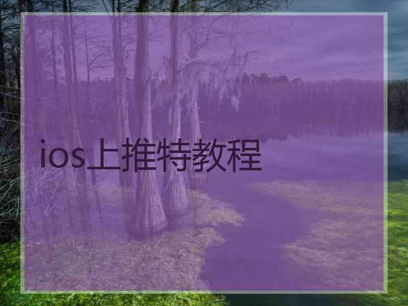 ios上推特教程