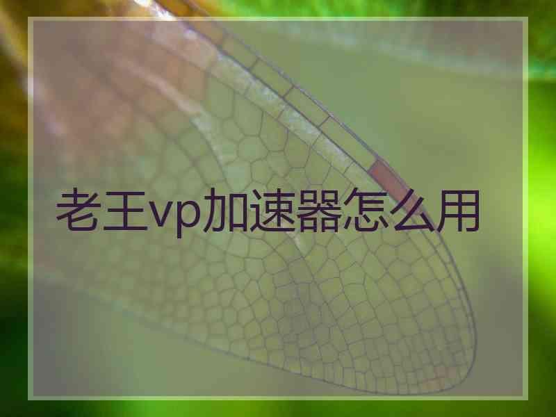 老王vp加速器怎么用