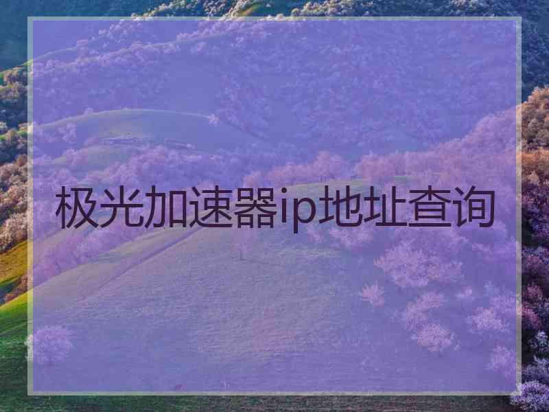 极光加速器ip地址查询