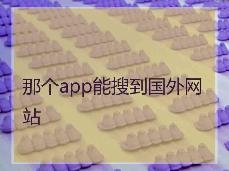 那个app能搜到国外网站