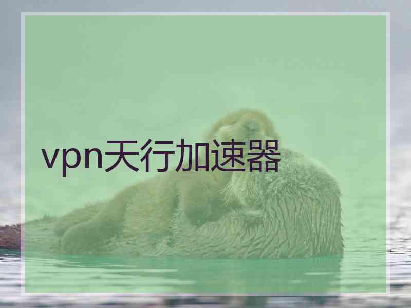 vpn天行加速器