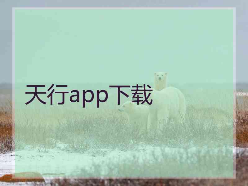 天行app下载