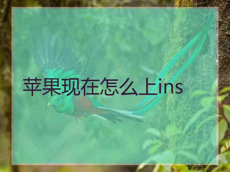 苹果现在怎么上ins