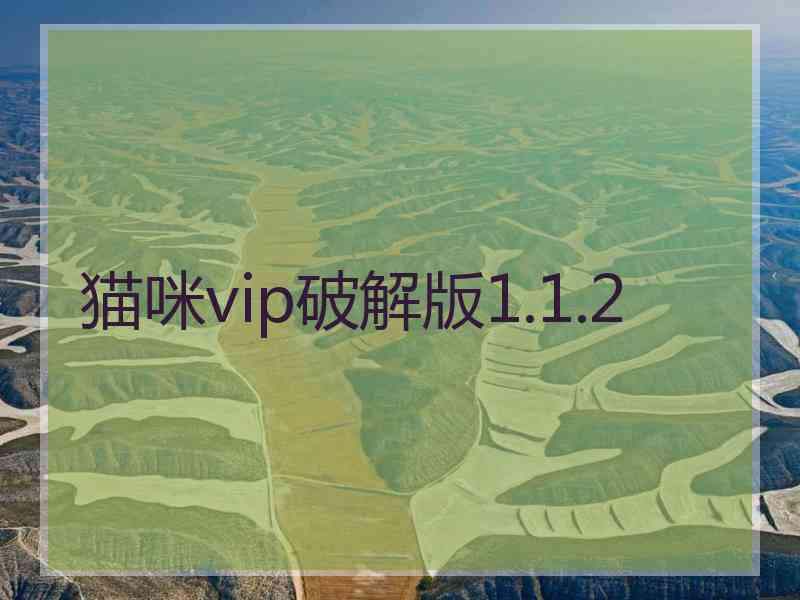 猫咪vip破解版1.1.2