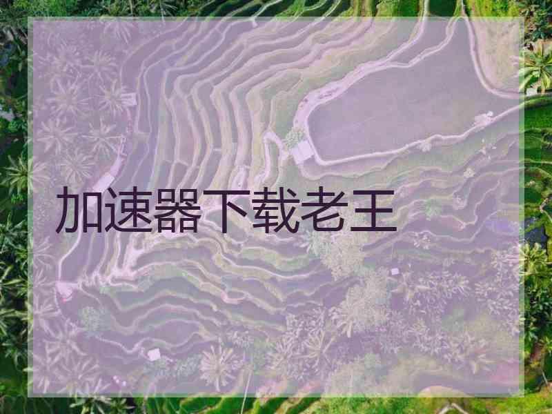 加速器下载老王