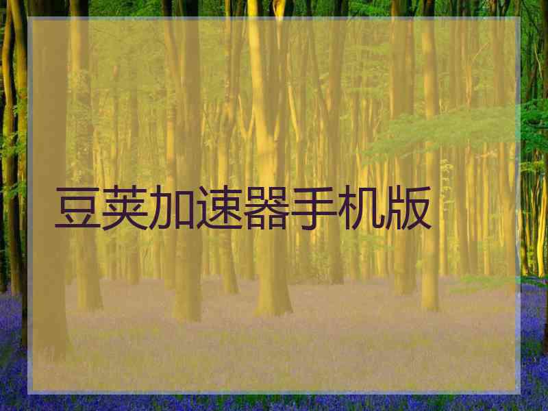 豆荚加速器手机版