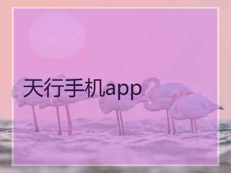 天行手机app