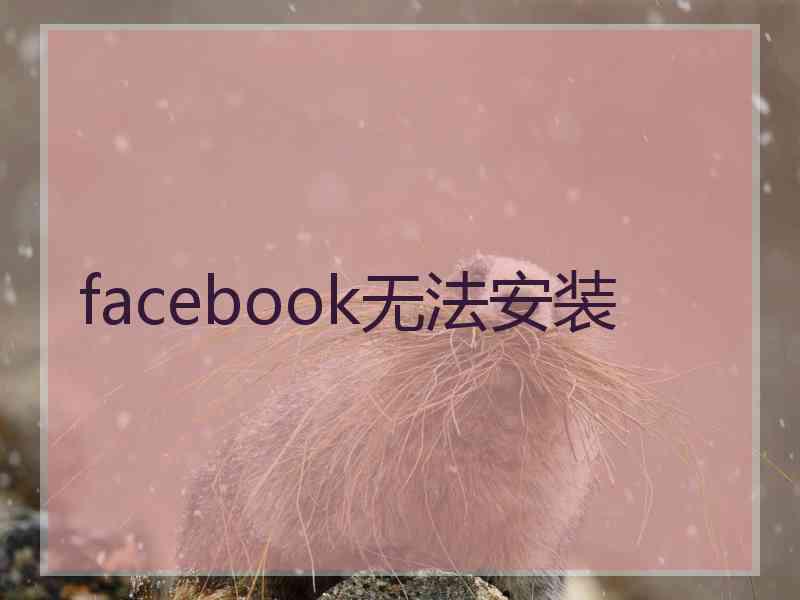 facebook无法安装