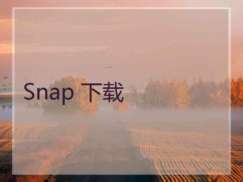 Snap 下载