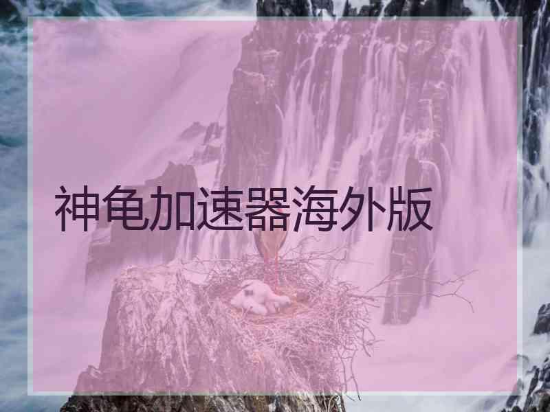 神龟加速器海外版