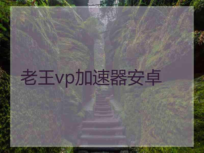 老王vp加速器安卓