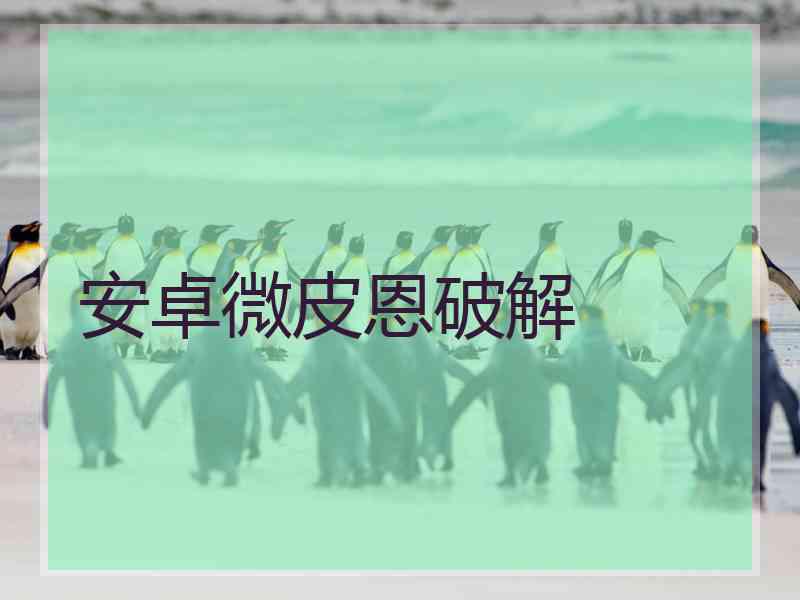 安卓微皮恩破解