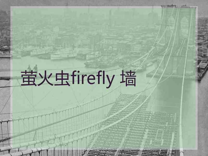 萤火虫firefly 墙