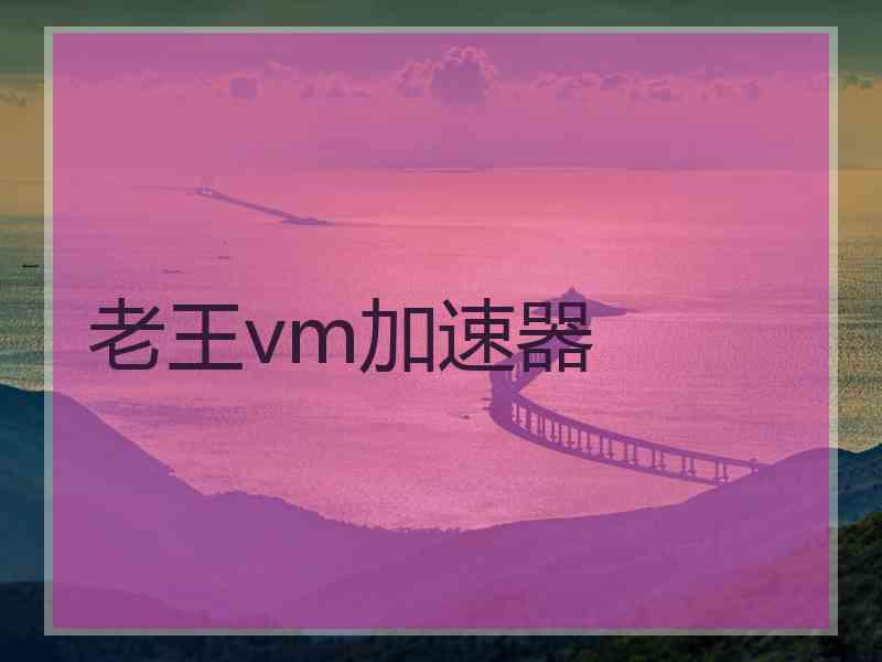 老王vm加速器