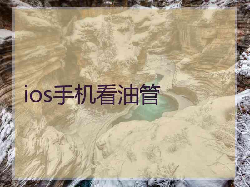 ios手机看油管