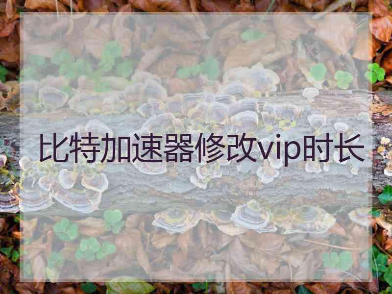 比特加速器修改vip时长