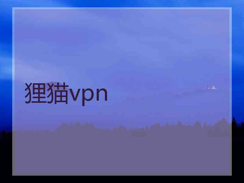 狸猫vpn