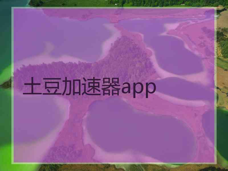 土豆加速器app