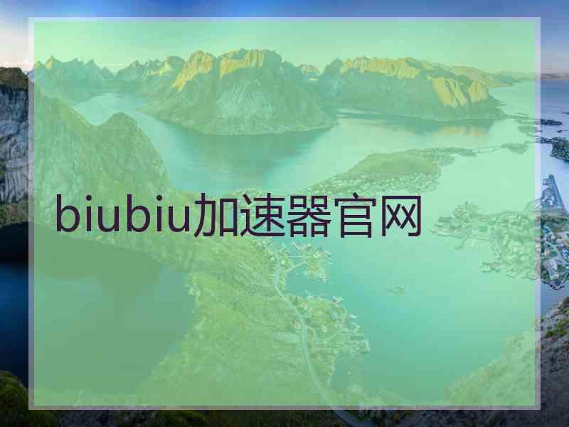 biubiu加速器官网