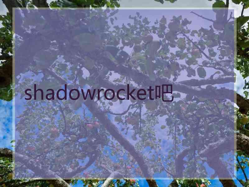 shadowrocket吧