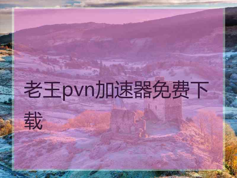 老王pvn加速器免费下载