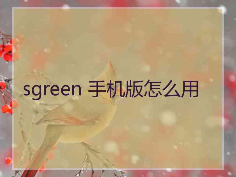 sgreen 手机版怎么用