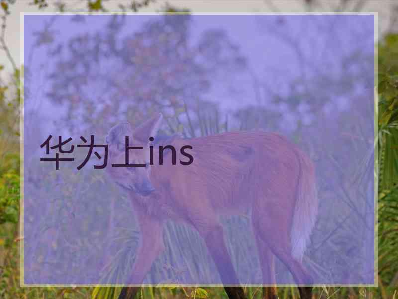 华为上ins