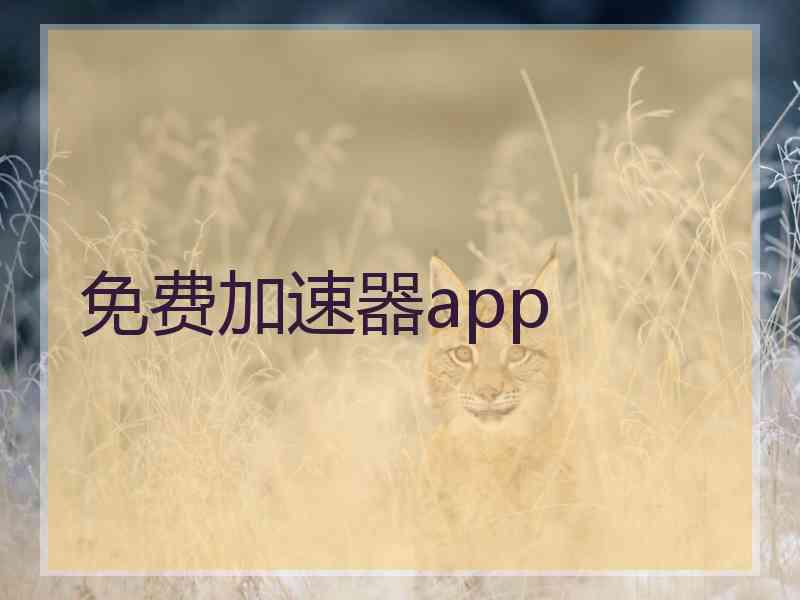 免费加速器app