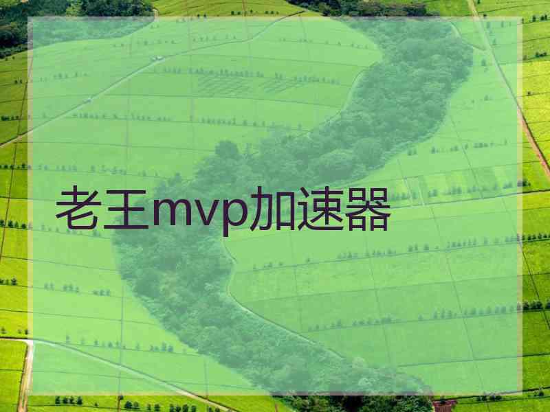 老王mvp加速器