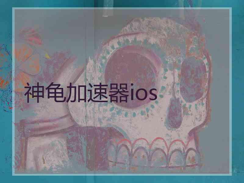 神龟加速器ios