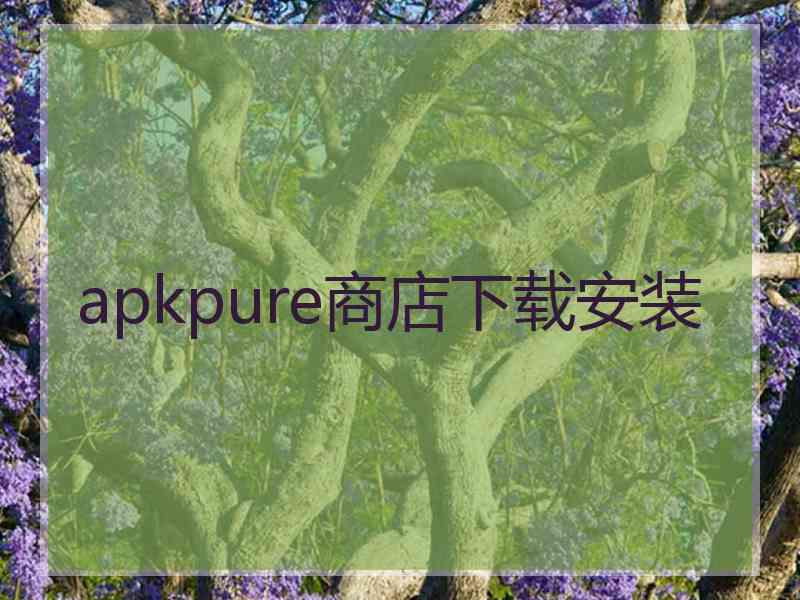 apkpure商店下载安装