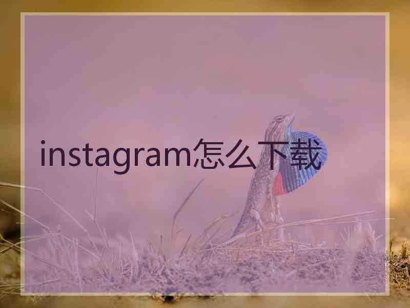 instagram怎么下载