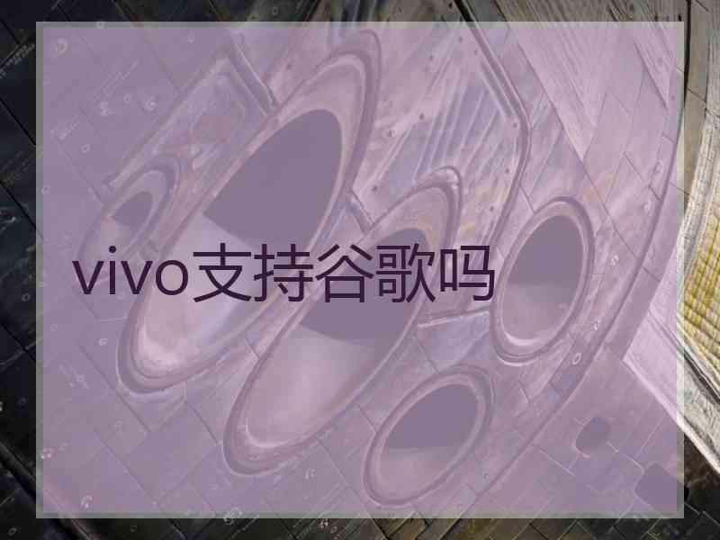 vivo支持谷歌吗