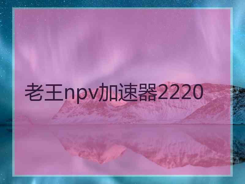 老王npv加速器2220