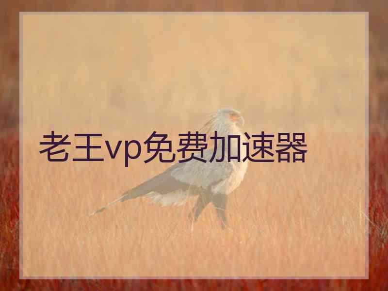 老王vp免费加速器