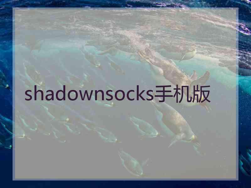 shadownsocks手机版