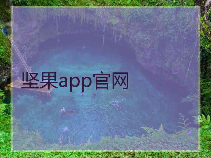 坚果app官网