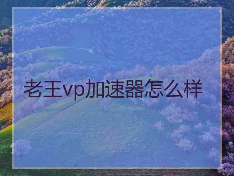 老王vp加速器怎么样