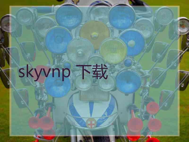 skyvnp 下载