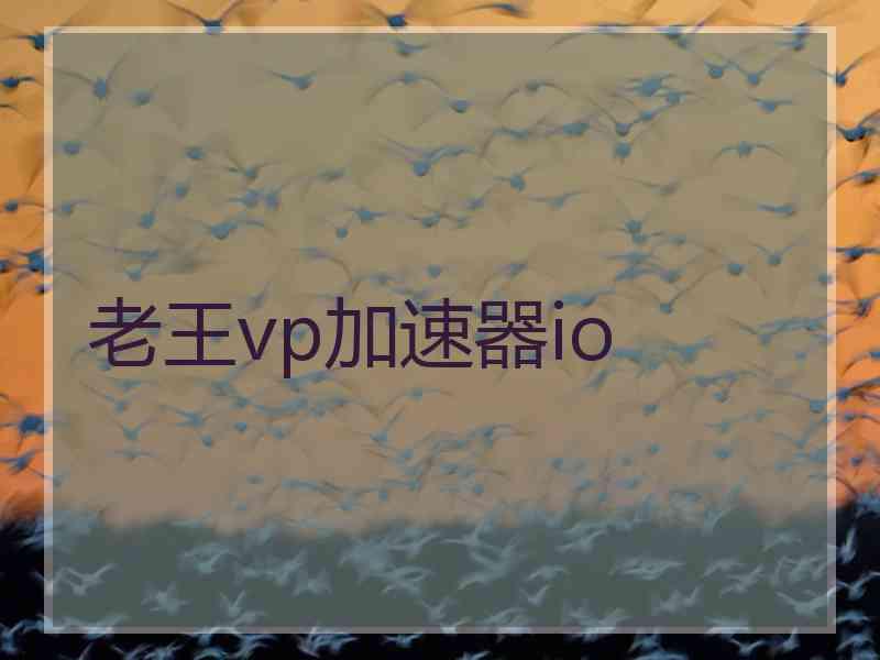 老王vp加速器io