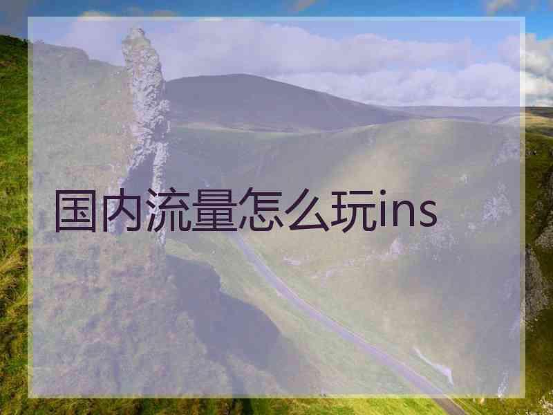 国内流量怎么玩ins