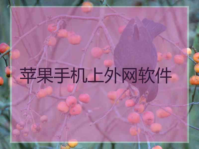 苹果手机上外网软件