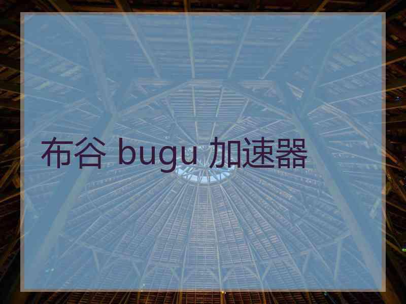 布谷 bugu 加速器