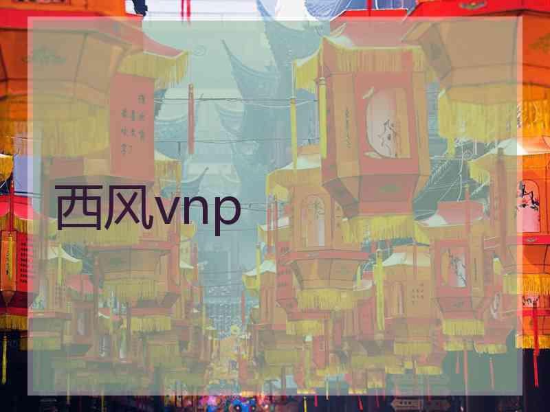 西风vnp